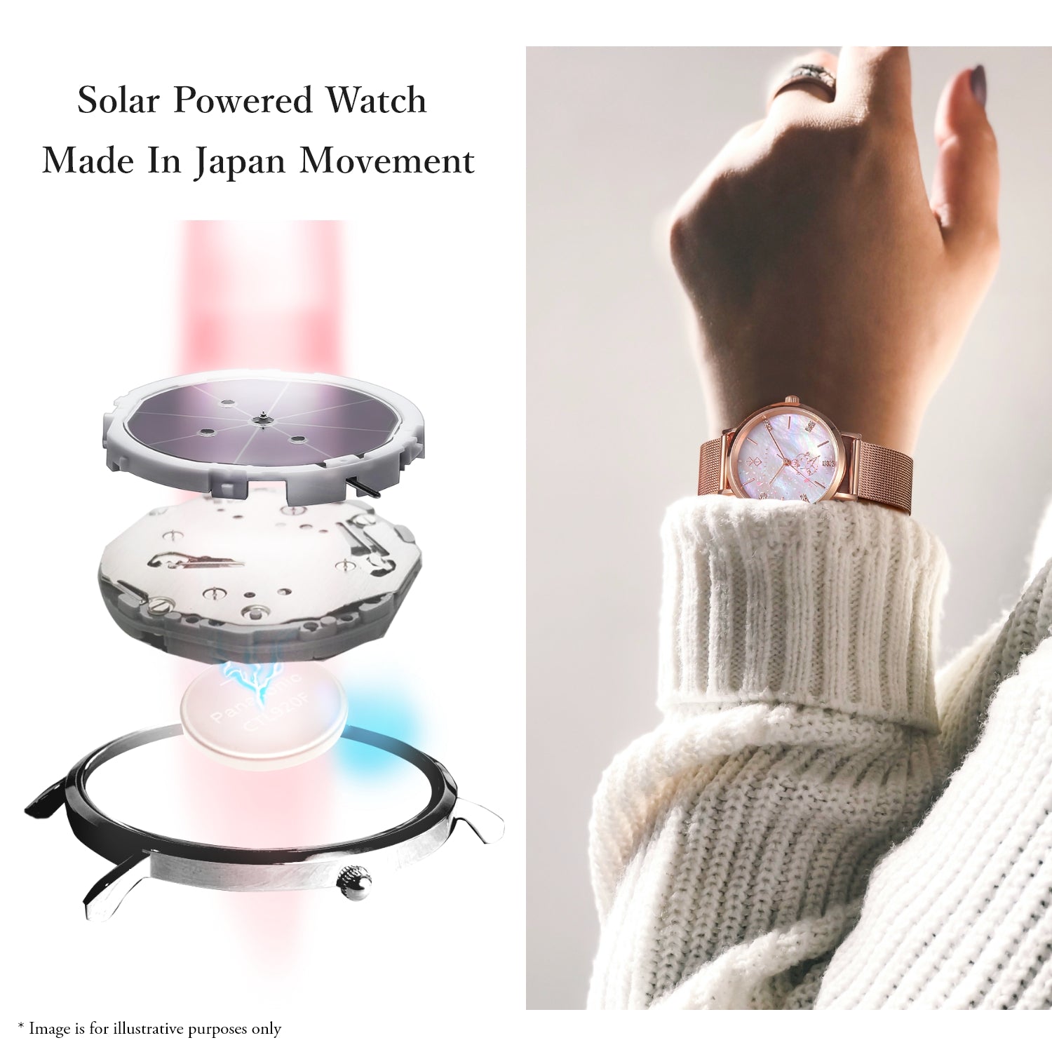 "Berserk" Natural Diamond Solar Watch Pack - 公式通販サイト「アニメコレクション/Anime Collection」